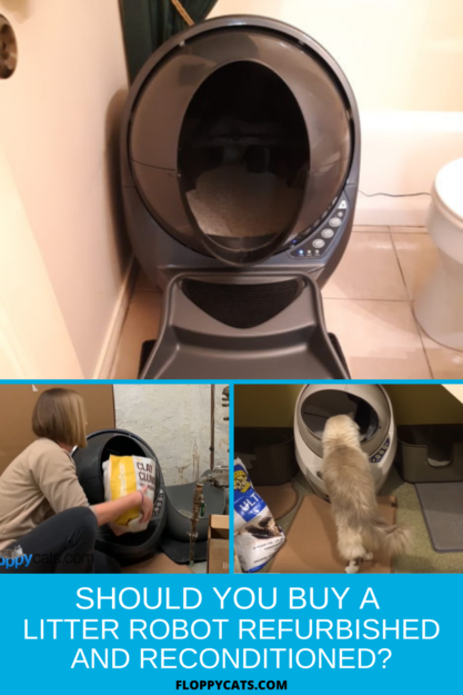 Is a Refurbished Litter‑Robot Worth Your Money? Pros & Cons