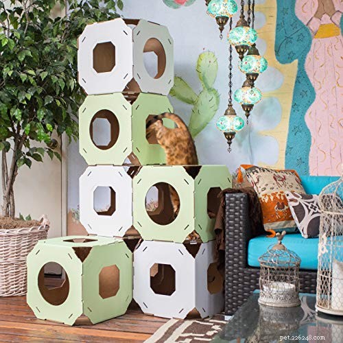 Top Cat Trees for Ragdolls: Comfort, Style & Scratch‑Friendly Features