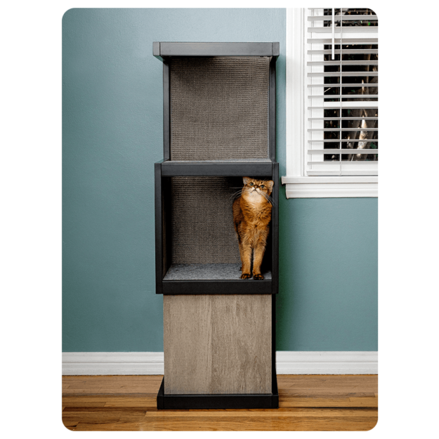 Top Cat Trees for Ragdolls: Comfort, Style & Scratch‑Friendly Features