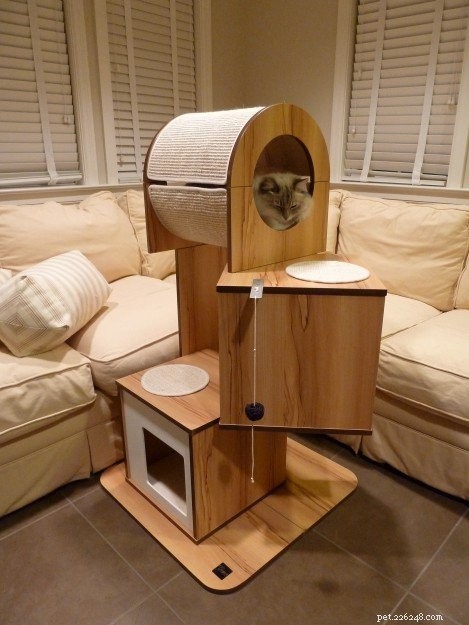 Top Cat Trees for Ragdolls: Comfort, Style & Scratch‑Friendly Features