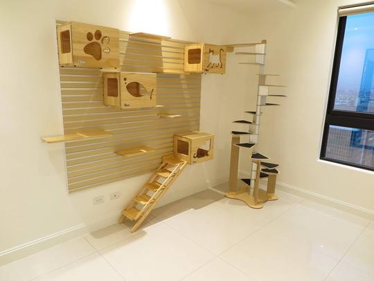 Top Cat Trees for Ragdolls: Comfort, Style & Scratch‑Friendly Features