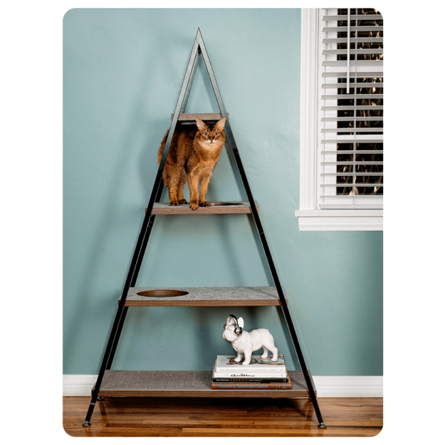 Top Cat Trees for Ragdolls: Comfort, Style & Scratch‑Friendly Features