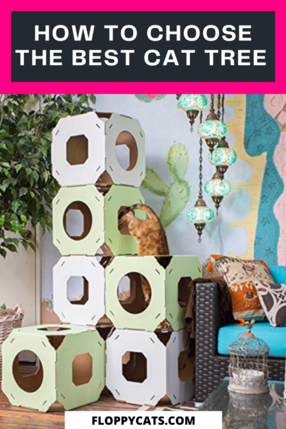 Top Cat Trees for Ragdolls: Comfort, Style & Scratch‑Friendly Features