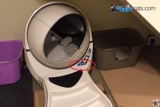 Fix Litter‑Robot 3 Problems Quickly: Expert Troubleshooting Guide