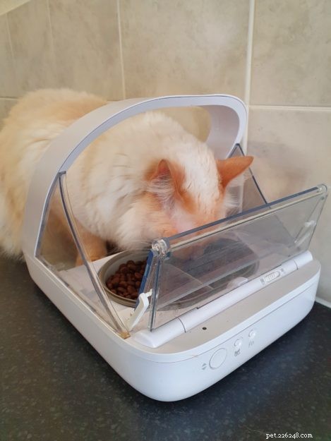 SureFeed Microchip Pet Feeder Problems? Expert Tips & Troubleshooting Guide
