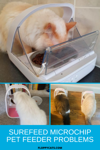 SureFeed Microchip Pet Feeder Problems? Expert Tips & Troubleshooting Guide