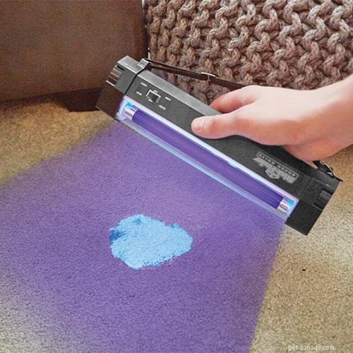 Top 3 Black Lights for Detecting Cat Urine – Expert‑Chosen Solutions