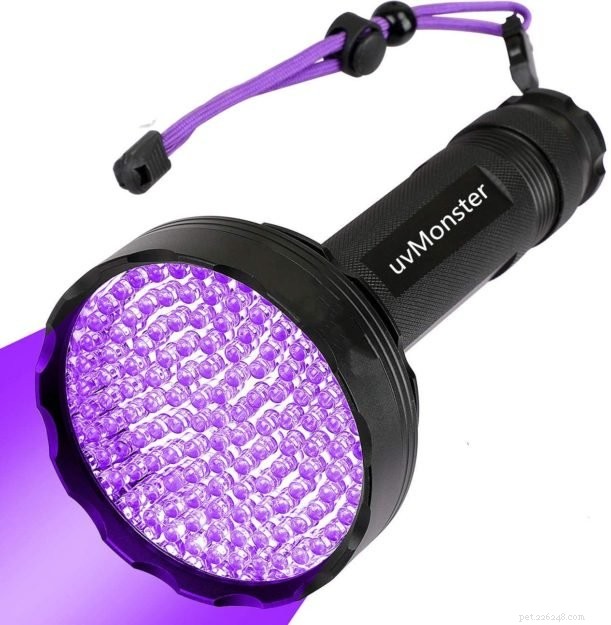 Top 3 Black Lights for Detecting Cat Urine – Expert‑Chosen Solutions