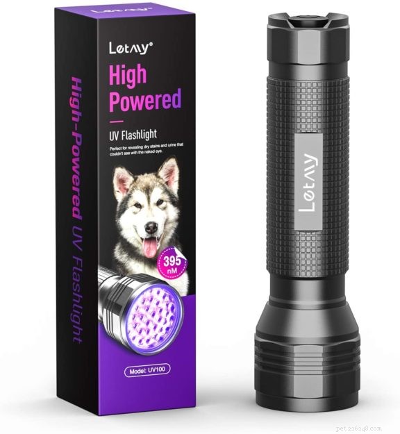 Top 3 Black Lights for Detecting Cat Urine – Expert‑Chosen Solutions