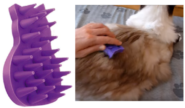 Top Grooming Tools Every Long-Haired Cat Owner Needs