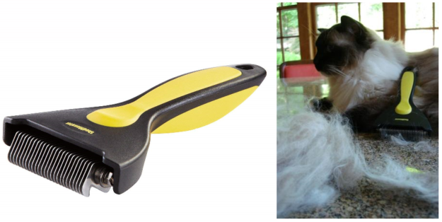 Top Grooming Tools Every Long-Haired Cat Owner Needs