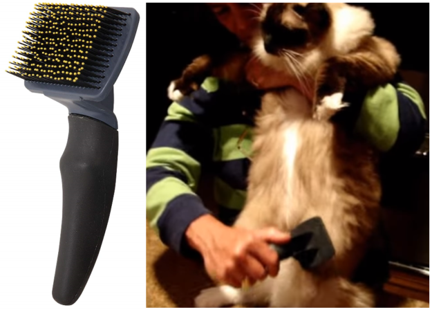 Top Grooming Tools Every Long-Haired Cat Owner Needs