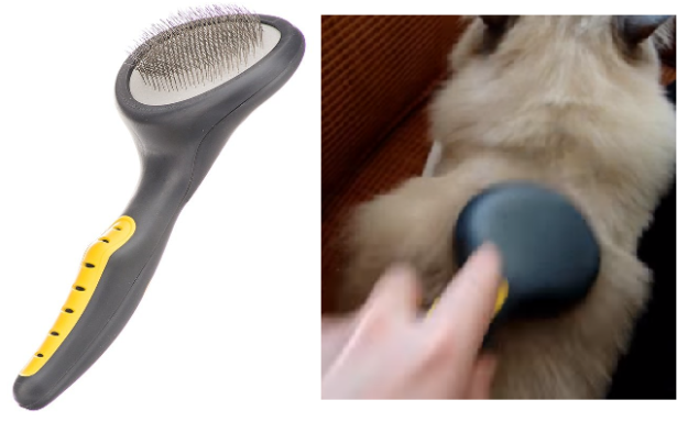 Top Grooming Tools Every Long-Haired Cat Owner Needs