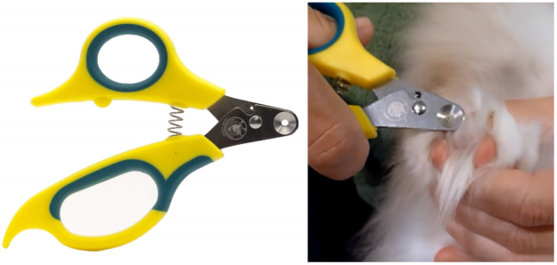 Top Grooming Tools Every Long-Haired Cat Owner Needs