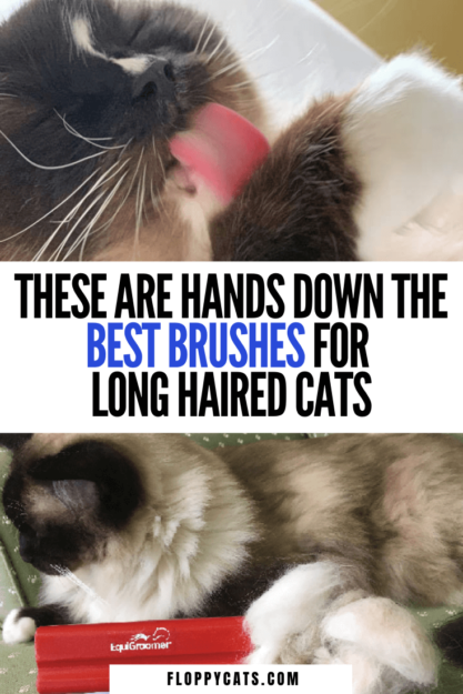 Top Grooming Tools Every Long-Haired Cat Owner Needs