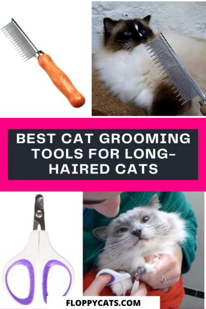 Top Grooming Tools Every Long-Haired Cat Owner Needs