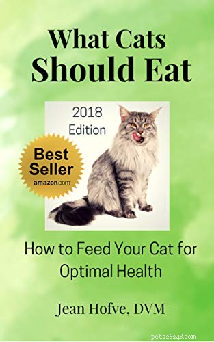 Life’s Abundance Premium Wet Cat Food: Nutritious, Flavorful & Vet‑Recommended