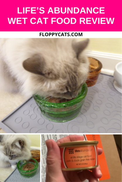 Life’s Abundance Premium Wet Cat Food: Nutritious, Flavorful & Vet‑Recommended