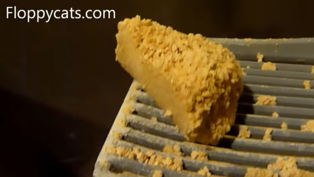 Can Cat Litter Be Flushed? The Truth About Safe Disposal