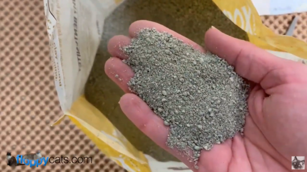 Can Cat Litter Be Flushed? The Truth About Safe Disposal
