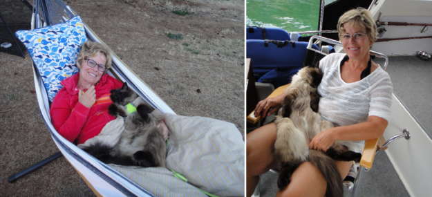 Meet Bogie, the World‑Traveling Ragdoll Who Captivated Our Hearts