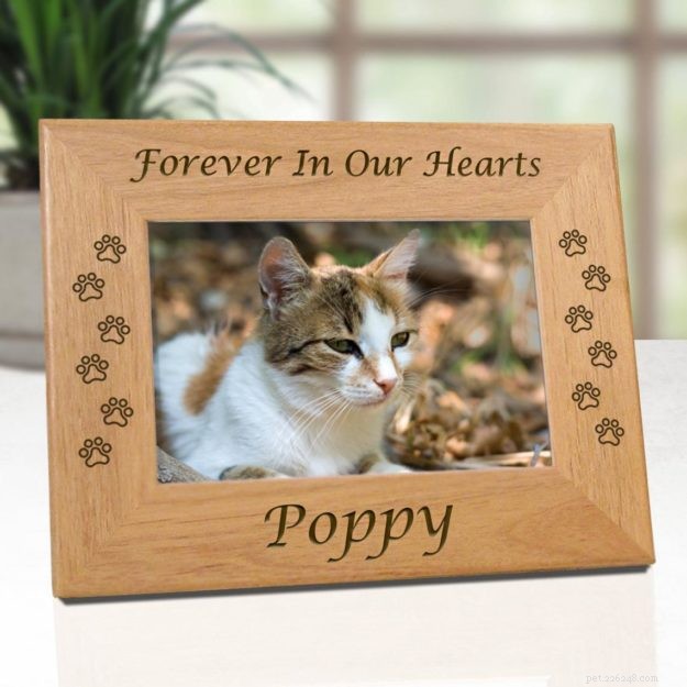 Coping with Pet Loss: Practical Tips for Healing and Grief Recovery