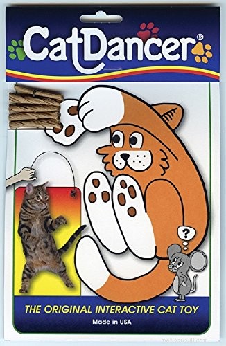 Top Interactive Cat Toys for Endless Entertainment & Mental Stimulation