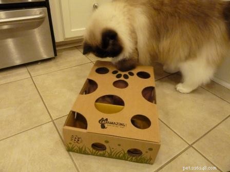 Top Interactive Cat Toys for Endless Entertainment & Mental Stimulation