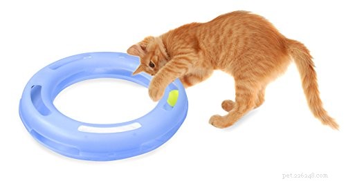 Top Interactive Cat Toys for Endless Entertainment & Mental Stimulation