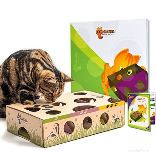 Top Interactive Cat Toys for Endless Entertainment & Mental Stimulation