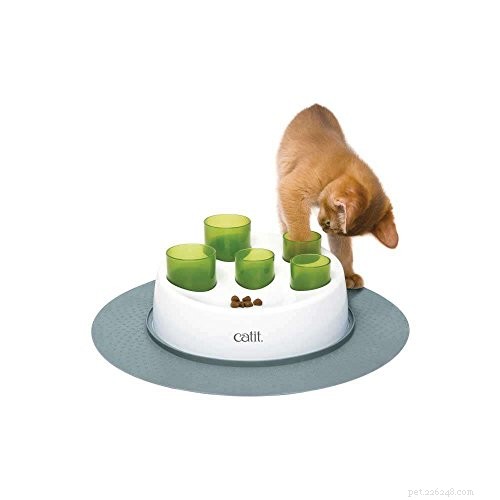 Top Interactive Cat Toys for Endless Entertainment & Mental Stimulation