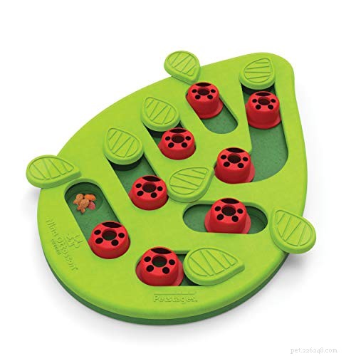 Top Interactive Cat Toys for Endless Entertainment & Mental Stimulation