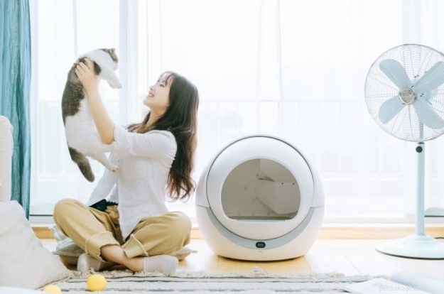 Petree vs. Litter‑Robot: Which Self‑Cleaning Litter Box Offers the Best Value?