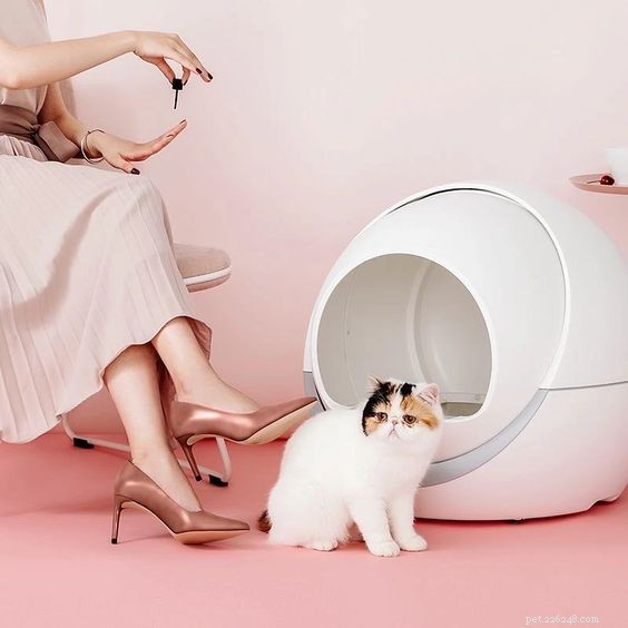 Petree vs. Litter‑Robot: Which Self‑Cleaning Litter Box Offers the Best Value?
