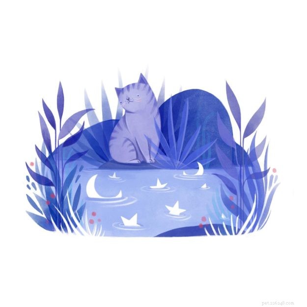 Top 11 Cat Illustration Artists You Must Explore