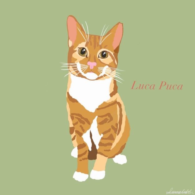 Top 11 Cat Illustration Artists You Must Explore