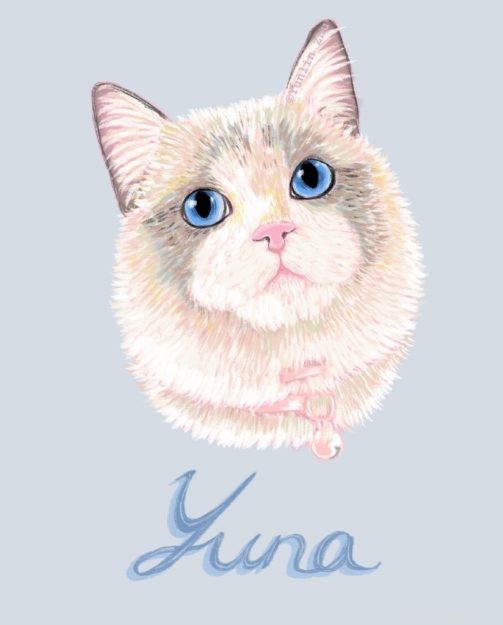 Top 11 Cat Illustration Artists You Must Explore