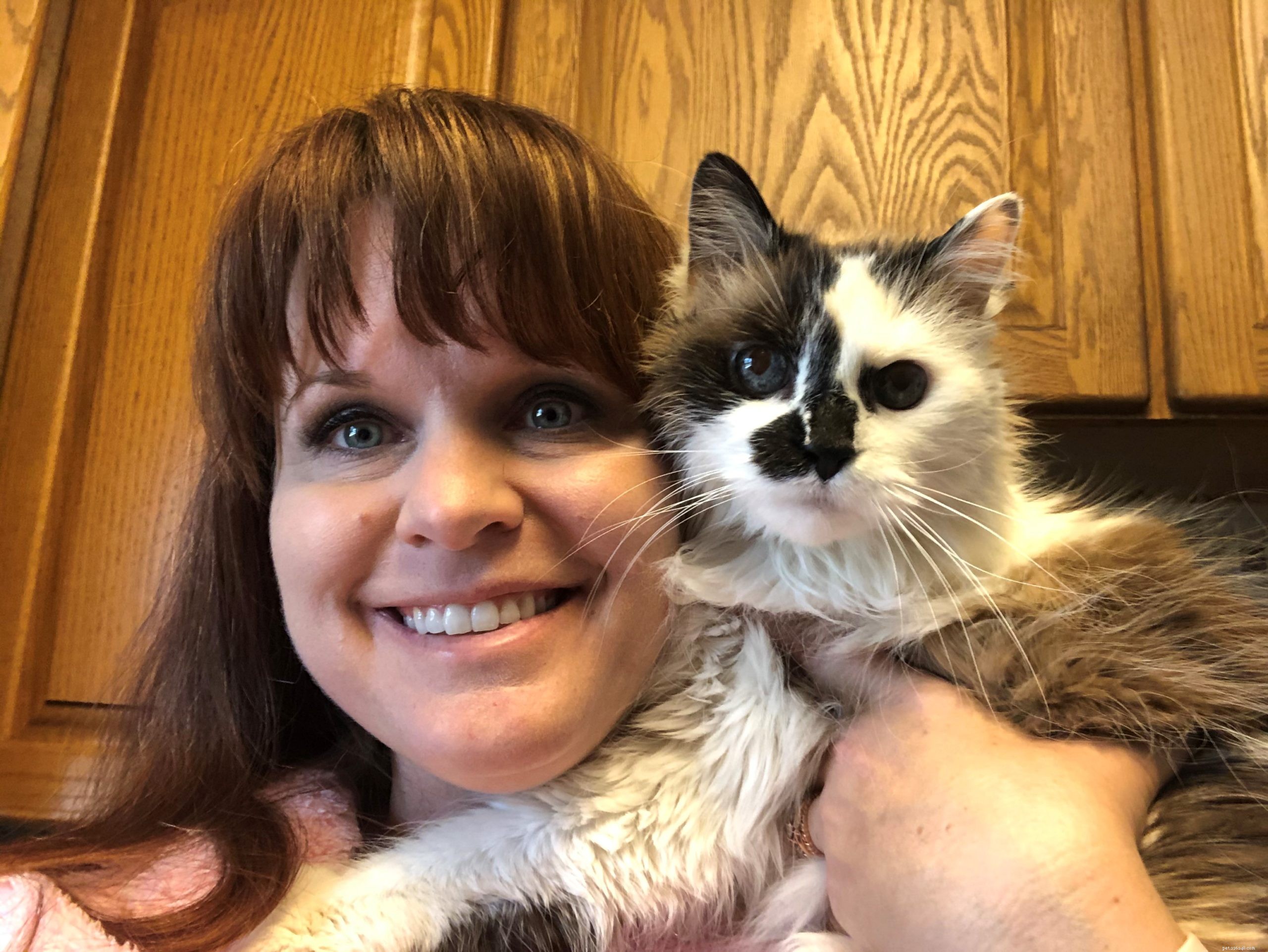 Georgia the Floppycat – Meet Our Charming Cat of the Week