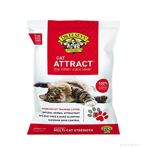 Choosing the Right Cat Litter: Pros, Cons & Video Guide