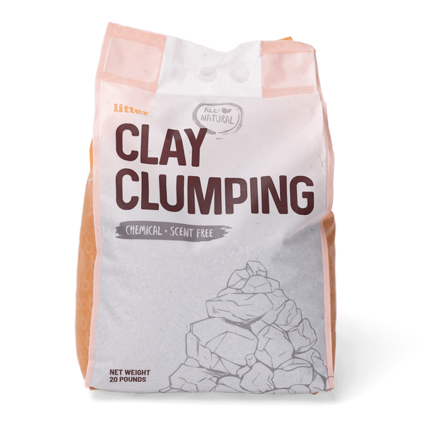 Choosing the Right Cat Litter: Pros, Cons & Video Guide