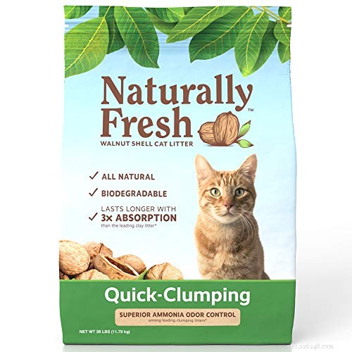 Choosing the Right Cat Litter: Pros, Cons & Video Guide