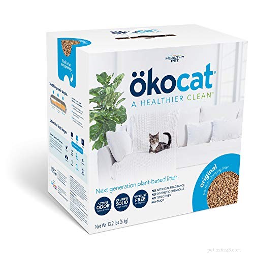 Choosing the Right Cat Litter: Pros, Cons & Video Guide