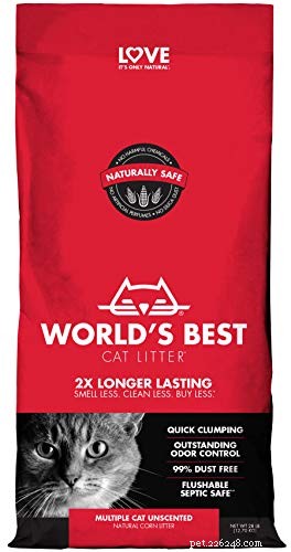 Choosing the Right Cat Litter: Pros, Cons & Video Guide