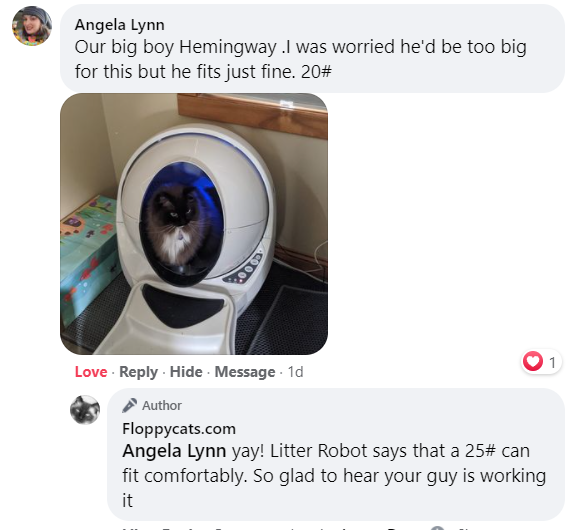 Litter-Robot: The Ideal Litter Box for Large Cats