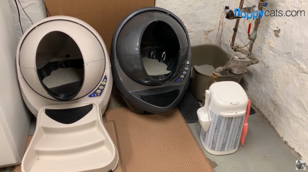 Litter-Robot: The Ideal Litter Box for Large Cats