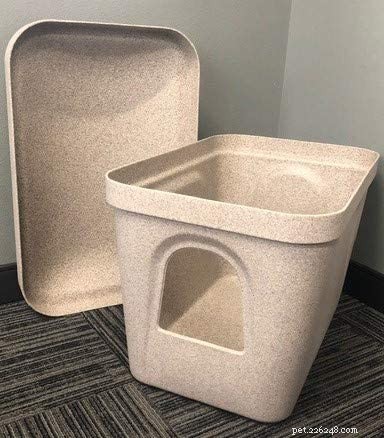 Kat Kave Litter Box: Expert Review & Answers to Your Questions