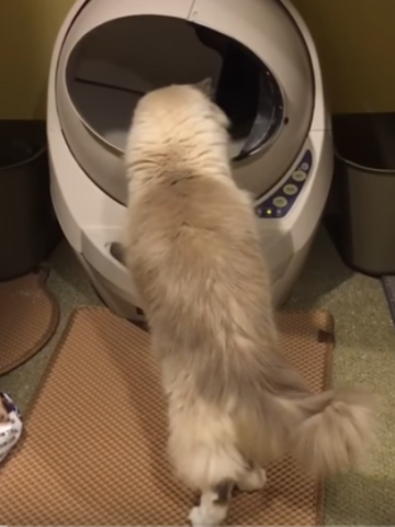 Litter‑Robot Liner Bags: Easy Install, Hassle‑Free Waste Management