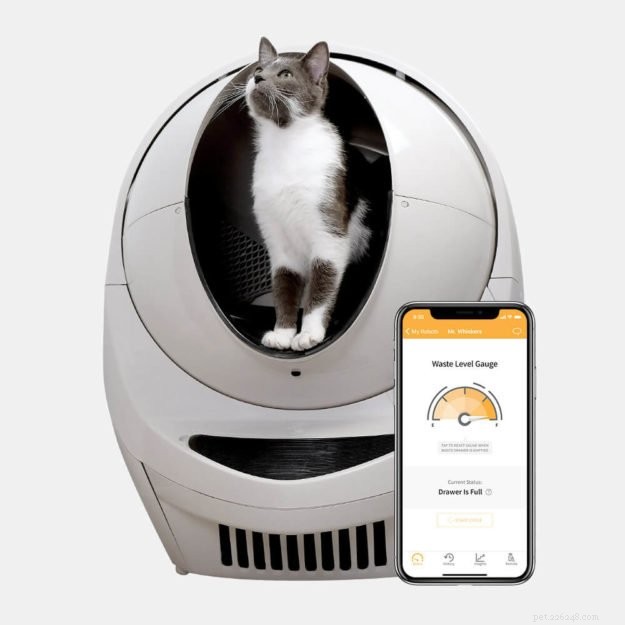 Top 9 Self‑Cleaning Litter Boxes: Convenience & Hygiene for Cats