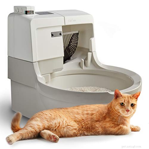 Top 9 Self‑Cleaning Litter Boxes: Convenience & Hygiene for Cats