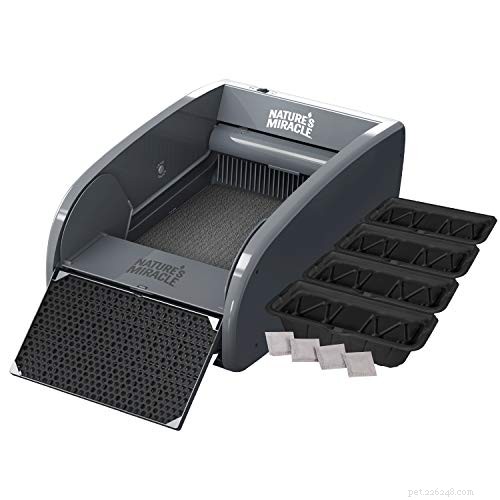 Top 9 Self‑Cleaning Litter Boxes: Convenience & Hygiene for Cats